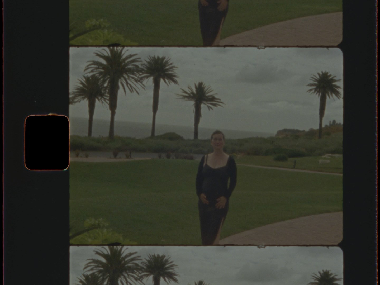Braun Nizo 801 Macro — 8mm moments — Super 8 · Motion Picture — photograph by Emrah Gonulkirmaz (3 of 5)