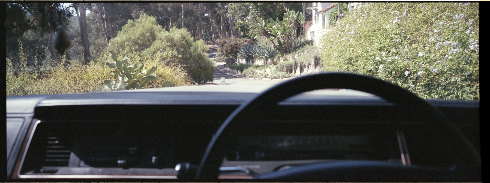 Hasselblad XPAN — 35mm Panoramic · Still — photograph by Emrah Gonulkirmaz (1 of 6)