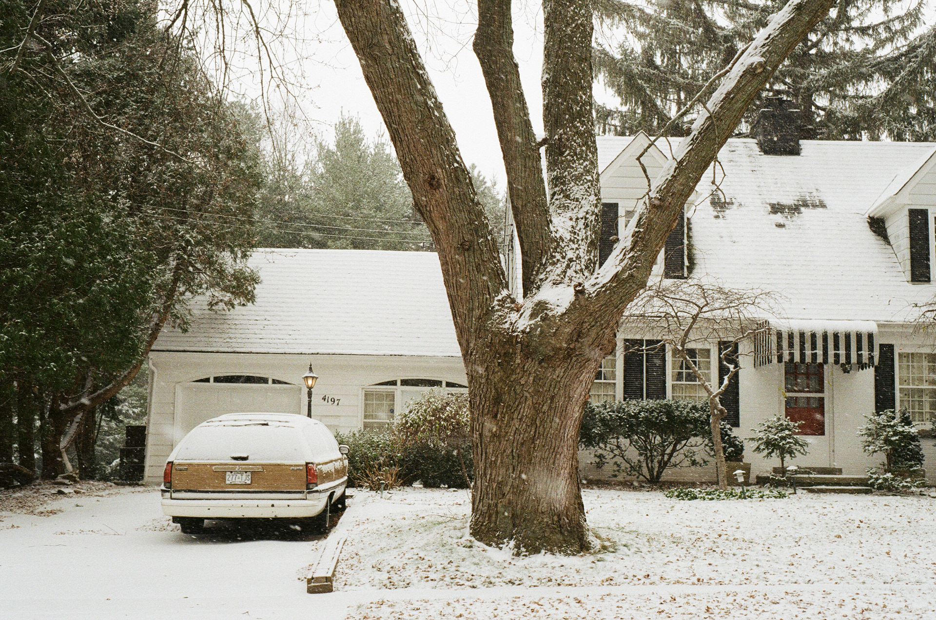 Nikon FE — 35mm · Still — photograph by Emrah Gonulkirmaz (1 of 20)