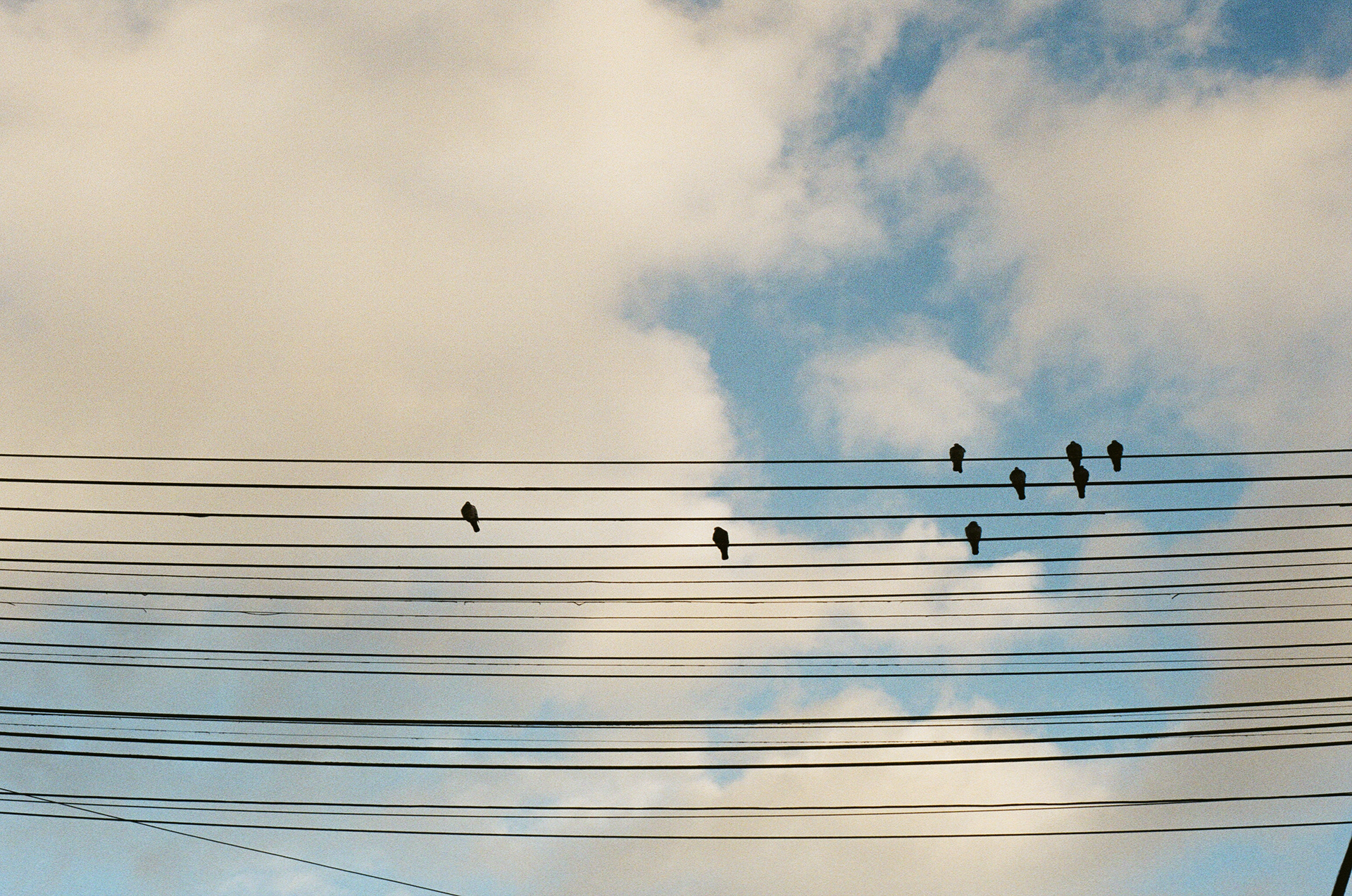 Nikon FE — 35mm · Still — photograph by Emrah Gonulkirmaz (4 of 20)