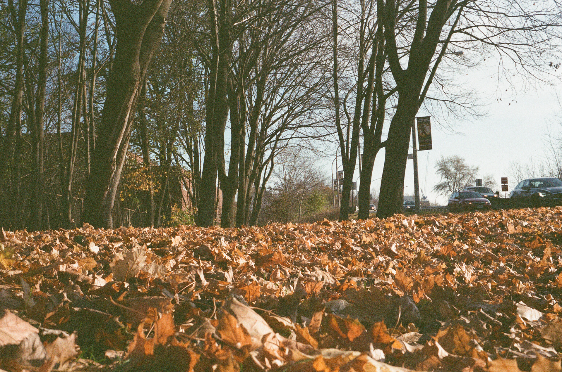 Rollei 35 — 35mm · Still — photograph by Emrah Gonulkirmaz (8 of 9)