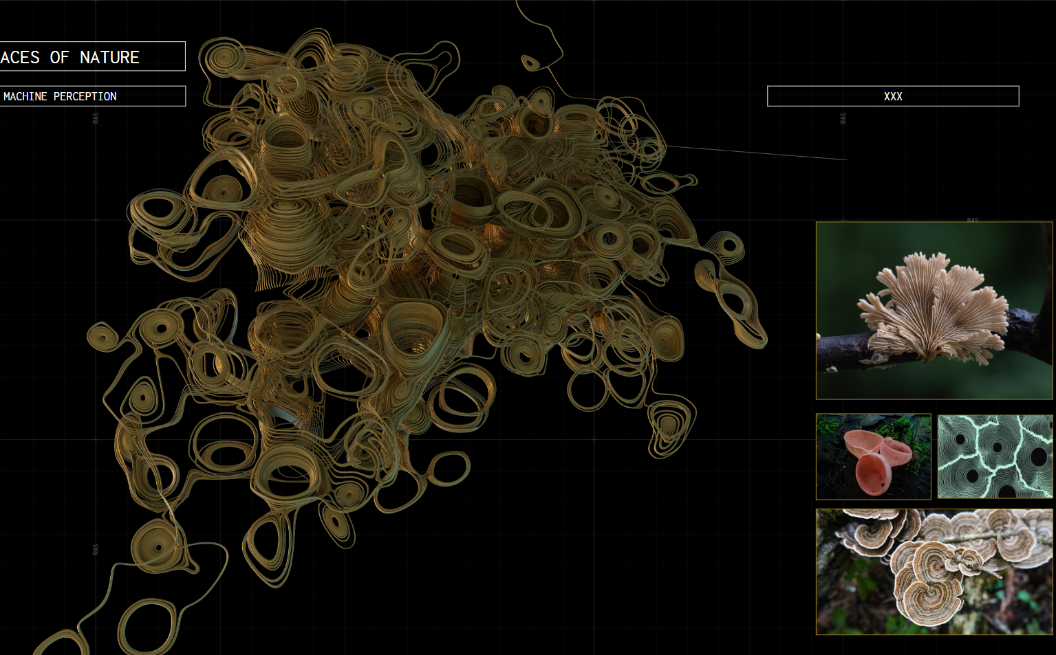 DATALAND | Traces of Nature — Installation — still by Emrah Gonulkirmaz (2 of 17)