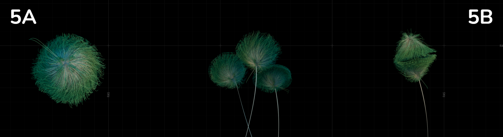 DATALAND | Traces of Nature — Installation — still by Emrah Gonulkirmaz (12 of 17)