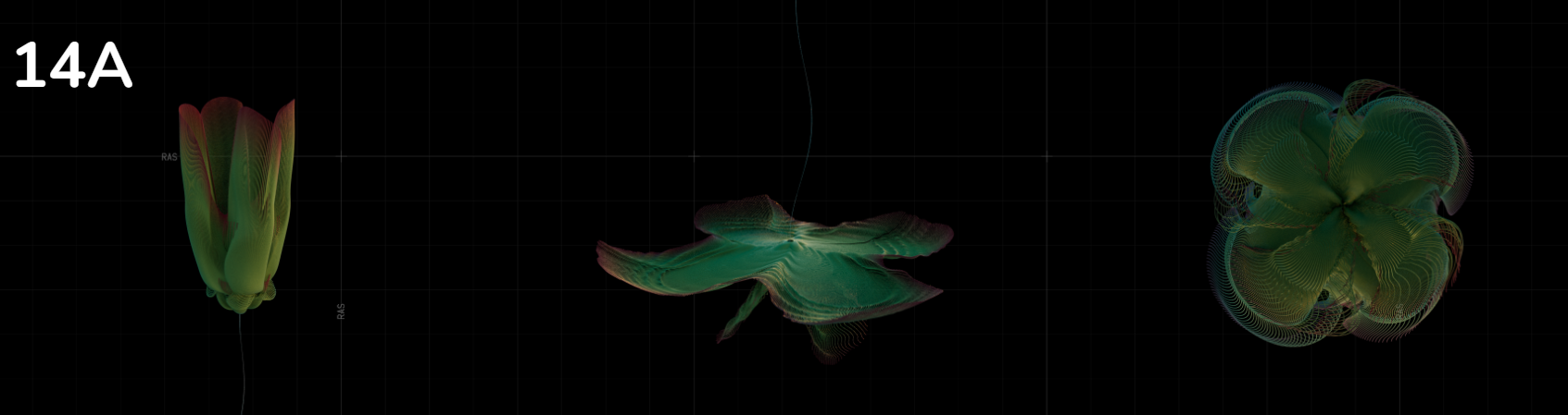 DATALAND | Traces of Nature — Installation — still by Emrah Gonulkirmaz (15 of 17)