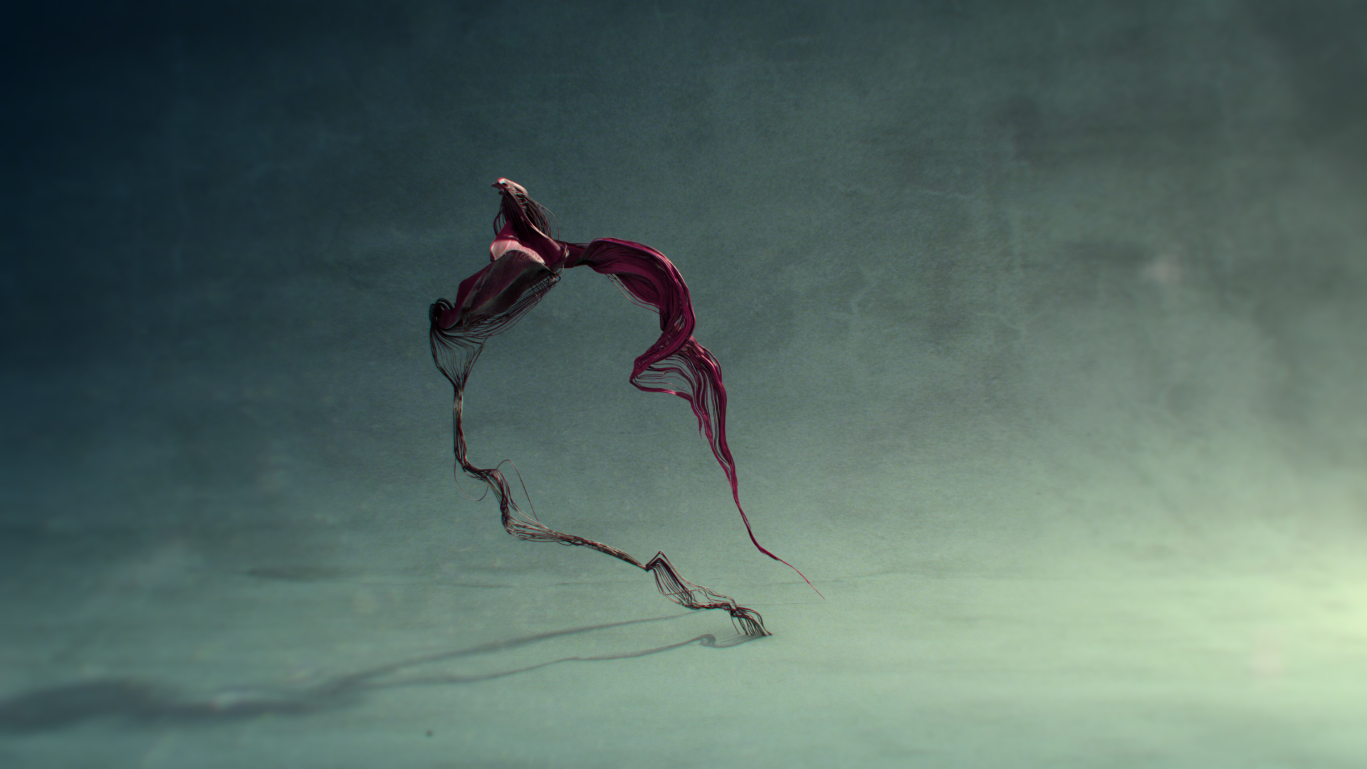 Anomalies | Expose 11 — Publish, Book — still by Emrah Gonulkirmaz (2 of 4)