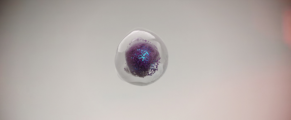 COLR — Experimental — still by Emrah Gonulkirmaz (3 of 4)