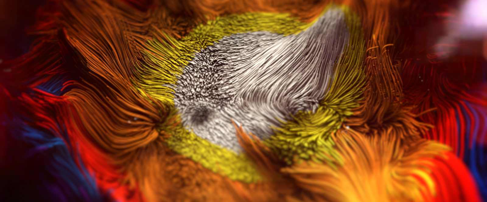 COLR — Experimental — still by Emrah Gonulkirmaz (4 of 4)